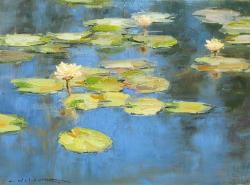 Water Lilies